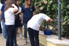 Inicio-de-clases-Armonía-20